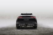 Mansory Venatus