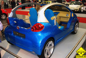 Masini la SIAB 2007