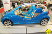 Masini la SIAB 2007