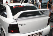 Masini la TTD 2007