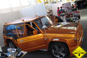 Masini la TTD 2007