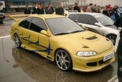 Maximum Overdose 2005