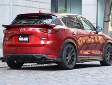 Mazda CX-5 Ducks Garden