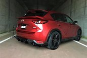 Mazda CX-5 Ducks Garden