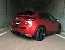 Mazda CX-5 Ducks Garden