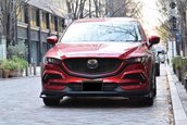 Mazda CX-5 Ducks Garden