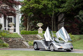McLaren F1 vandut