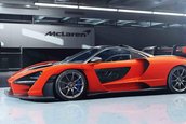 McLaren Senna