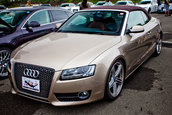 Meeting Audi in Japonia