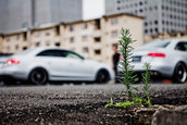 Meeting Audi in Japonia