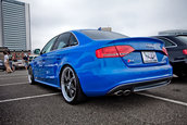 Meeting Audi in Japonia