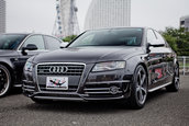 Meeting Audi in Japonia