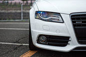 Meeting Audi in Japonia