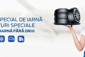 Meniul Special de Iarna Ford