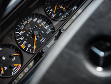 Mercedes 190 E 2.5-16 Evolution II de vanzare