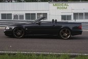 Mercedes 500SL cu motor 2JZ