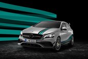 Mercedes A45 AMG World Champion Edition