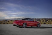Mercedes-AMG CLE 53 4Matic+ Cabriolet