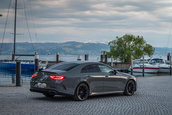 Mercedes-AMG CLS 53 4MATIC+