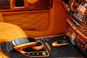 Mercedes-AMG G 63 de la Mansory