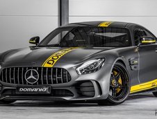 Mercedes-AMG GT R by Domanig Autodesign