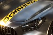 Mercedes-AMG GT R by Domanig Autodesign