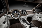Mercedes-Benz Clasa X