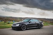 Mercedes-Benz CLK DTM de vanzare