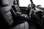 Mercedes-Benz G 350 d Limited Edition, G350 d Professional si G500