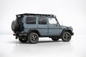Mercedes-Benz G 350 d Limited Edition, G350 d Professional si G500