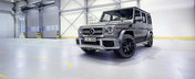 Pana si spatarul banchetei este din carbon. Modificarile primite de G-Class de la RevoZport