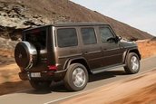 Mercedes-Benz G-Class scapat pe internet