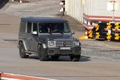 Mercedes-Benz G-Class V12, aproape gata de lansare