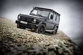 Mercedes-Benz G350d Professional