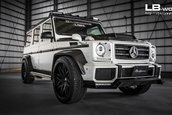 Mercedes-Benz G63 AMG Liberty Walk