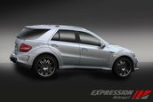 Mercedes Benz ML 63 AMG by Expression Motorsport