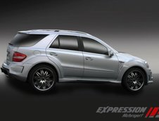 Mercedes Benz ML 63 AMG by Expression Motorsport