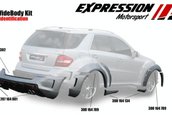 Mercedes Benz ML 63 AMG by Expression Motorsport