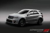Mercedes Benz ML 63 AMG by Expression Motorsport