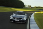 Mercedes-Benz prezinta SL65 AMG Black Series