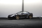 Mercedes-Benz SL65 AMG Black Series