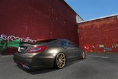 Mercedes CLS by Fostla