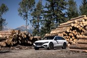 Mercedes E-Class All-Terrain - Galerie foto