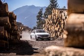 Mercedes E-Class All-Terrain - Galerie foto