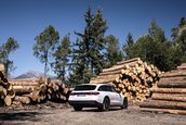 Mercedes E-Class All-Terrain - Galerie foto