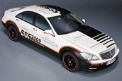 Mercedes ESF 2009
