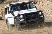 Mercedes G-Class 461