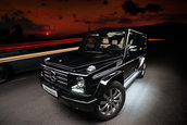 Mercedes G-Class by Vilner