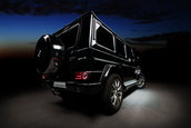 Mercedes G-Class by Vilner