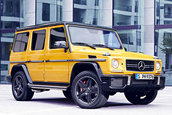 Mercedes G-Class Crazy Color Edition